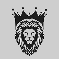 sfdemir
